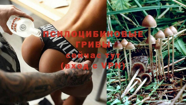 марихуана Зеленокумск