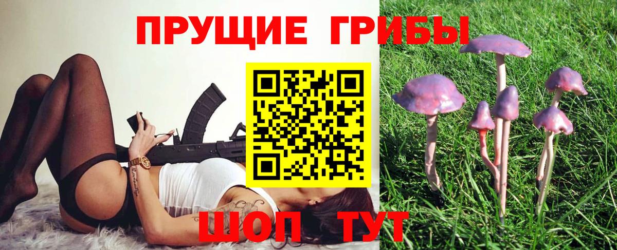 наркотики  Псилоцибиновые грибы Psilocybe  Вход с VPN  Псилоцибиновые грибы прущие грибы  Искитим 